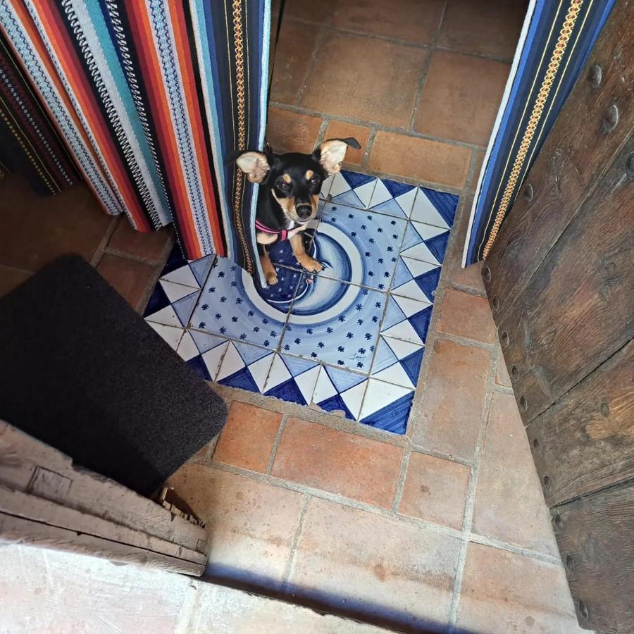 Can Lluna Tu Casa Zen Tárbena Exterior foto